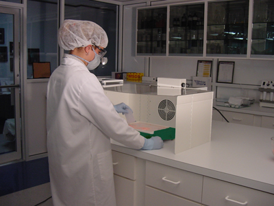 Laminar Flow Hood (SS-300-WSL)