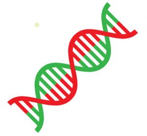 Ductless Fume Hood DNA