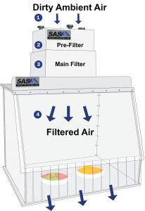 PCR Mycology