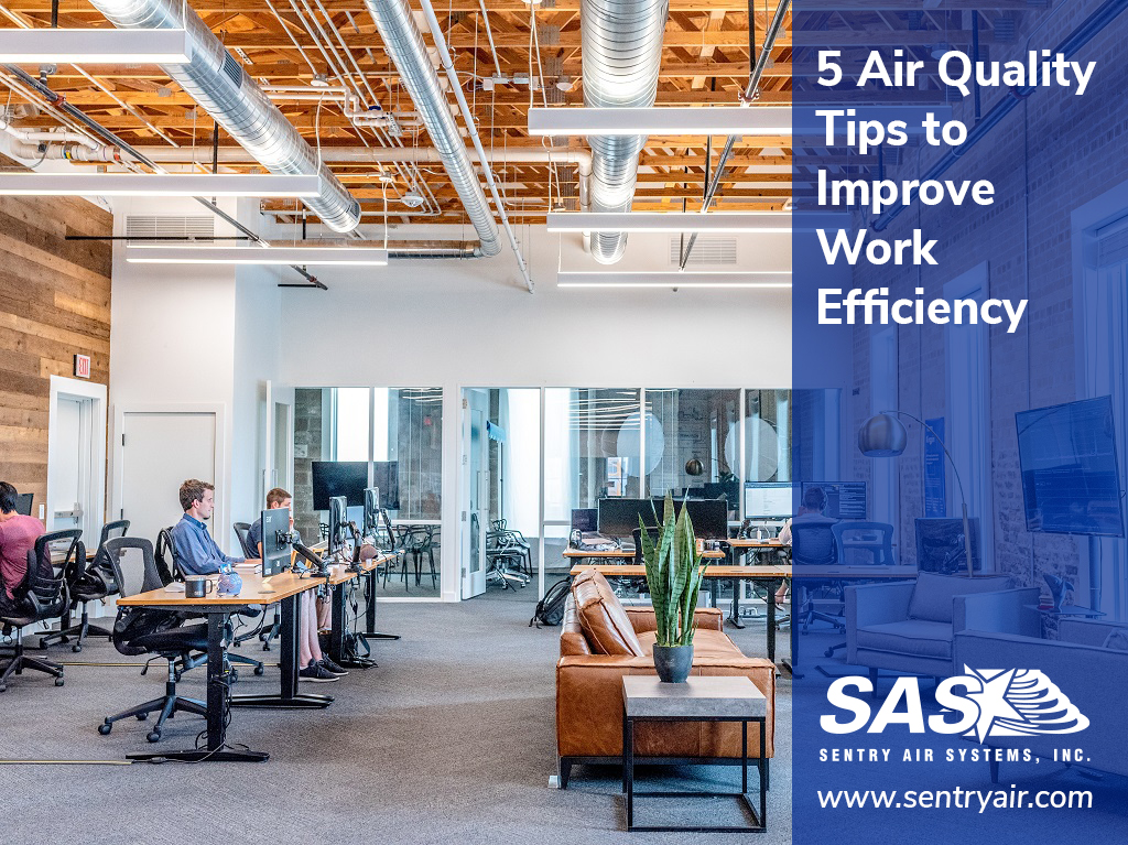 5 Air Quality Tips to Improve Work Efficiency