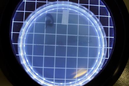 Germ Killer UV Air Purifier Bacteria Test 1 Sample G