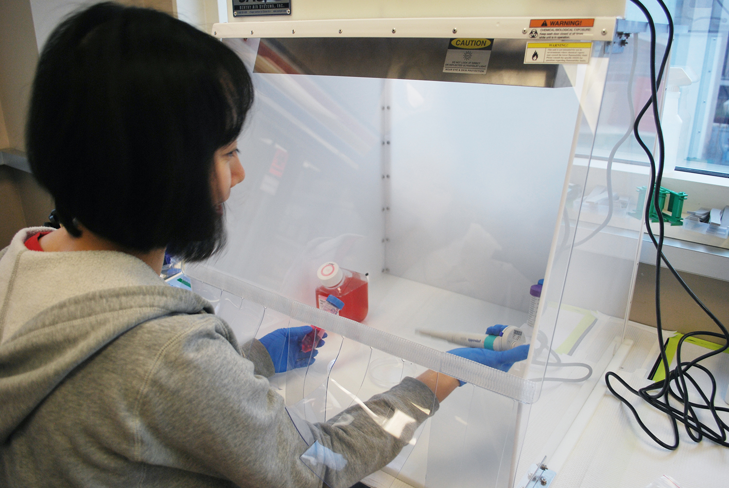 Using Laminar Flow Hoods to prevent PCR Contamination