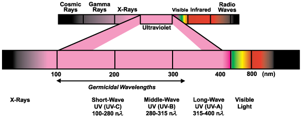 UV Spectrum Image